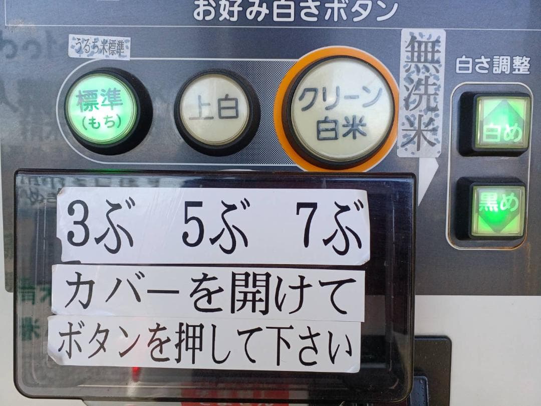 関東　一都六県　送料無料　令和７年　冷蔵保存　新米　玄米　20kg　つきあかり