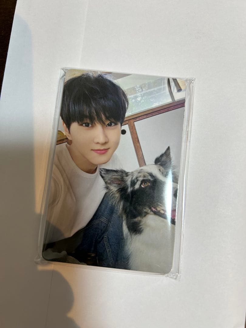 【未開封】ENHYPEN エナプ FC限定 アンケートトレカ 7枚セット