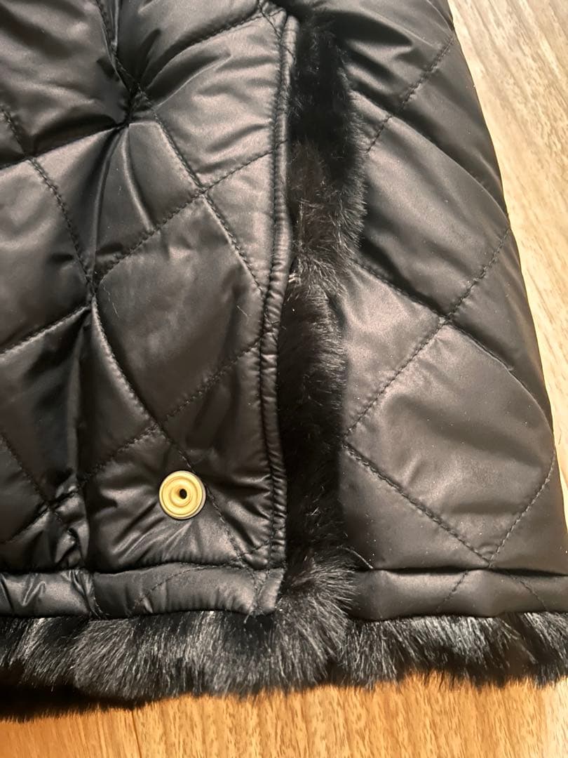 柴犬　バブアー　ビームス