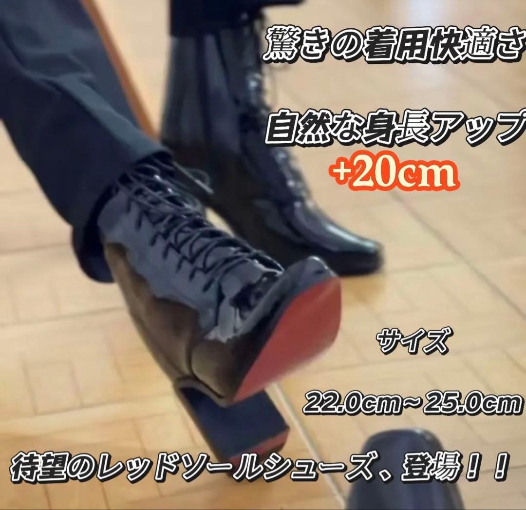 ＋20cm レッドソールシューズ　(サイズM23-24cm)