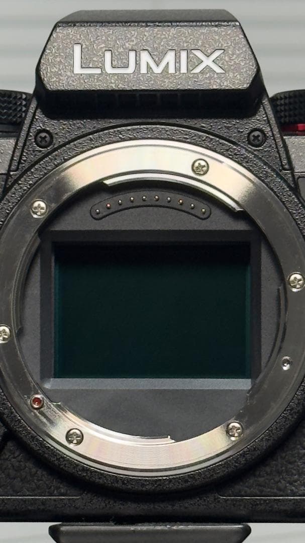 LUMIX S5II DC-S5M2W ダブルレンズキット極少シャッター254回