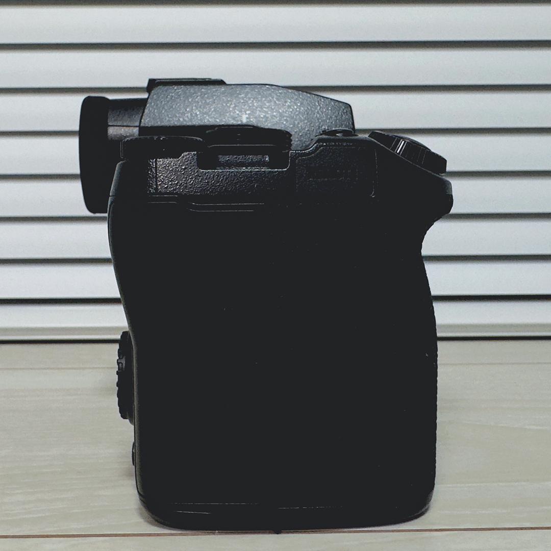 LUMIX S5II DC-S5M2W ダブルレンズキット極少シャッター254回