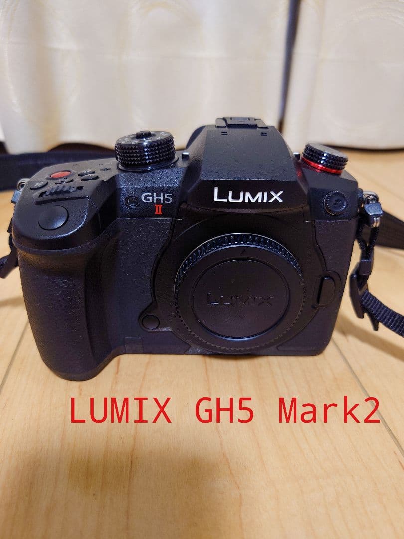 LUMIX GH5 Mark2本体　ショット数8801
