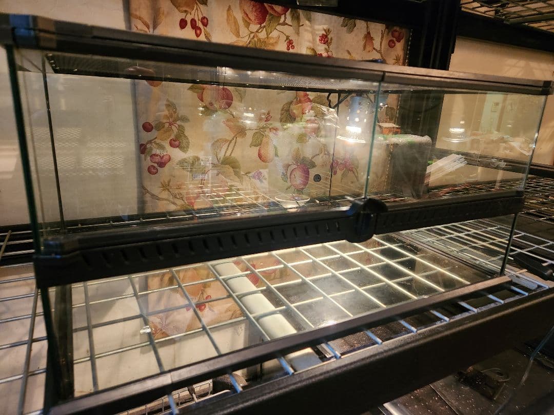 引取レインフォレストタンクL low中古1台　マイクロサン28w 中古1台