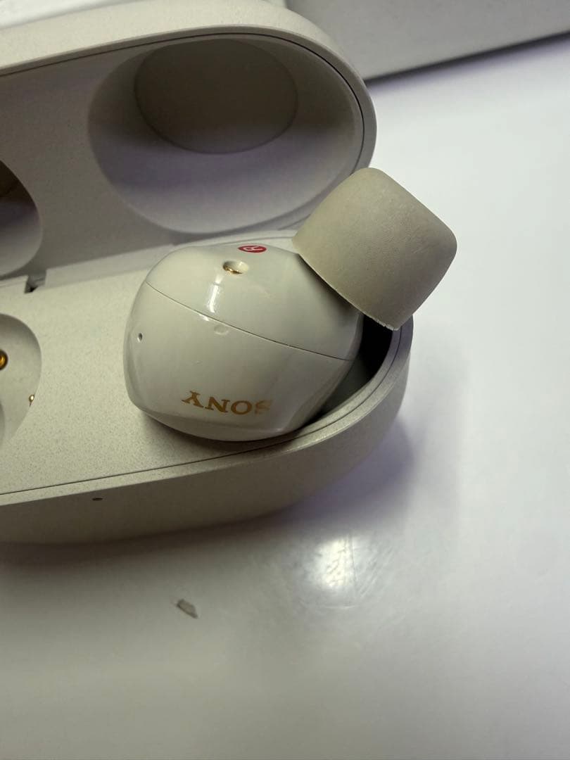 SONY WF1000XM5 プラチナシルバー 右耳 ケース