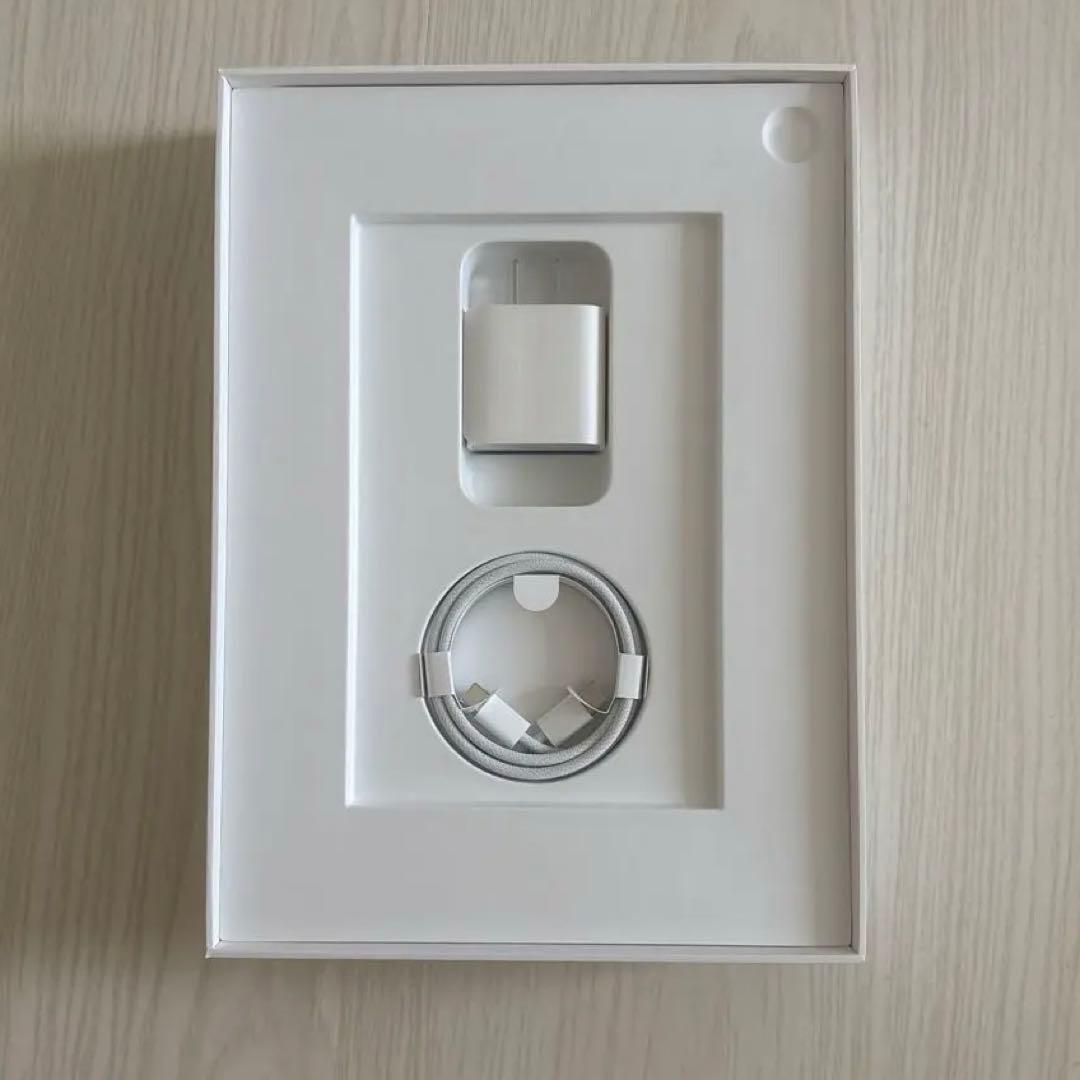 iPad（第10世代）64GB シルバー coco