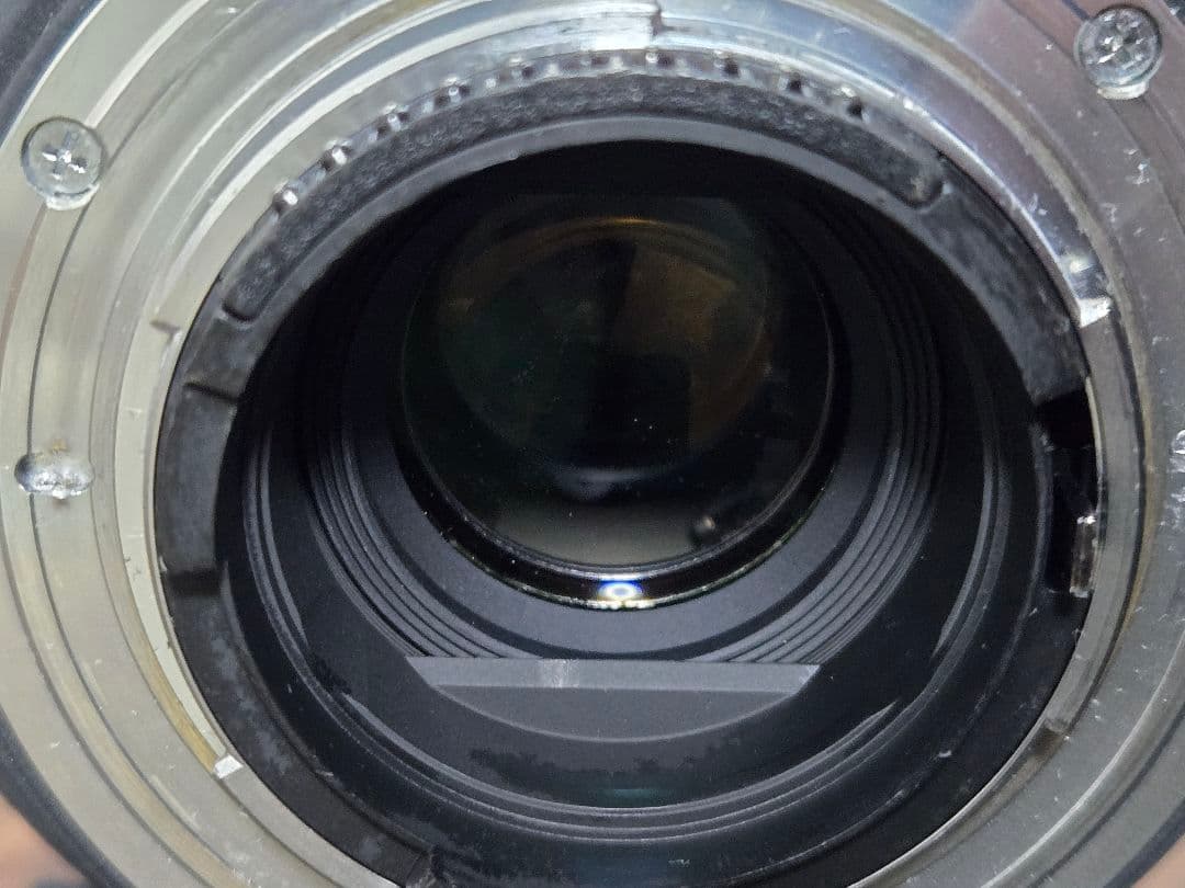 sigma DG 150-500 5-6.3　ニコン Fマウント　超望遠　望遠