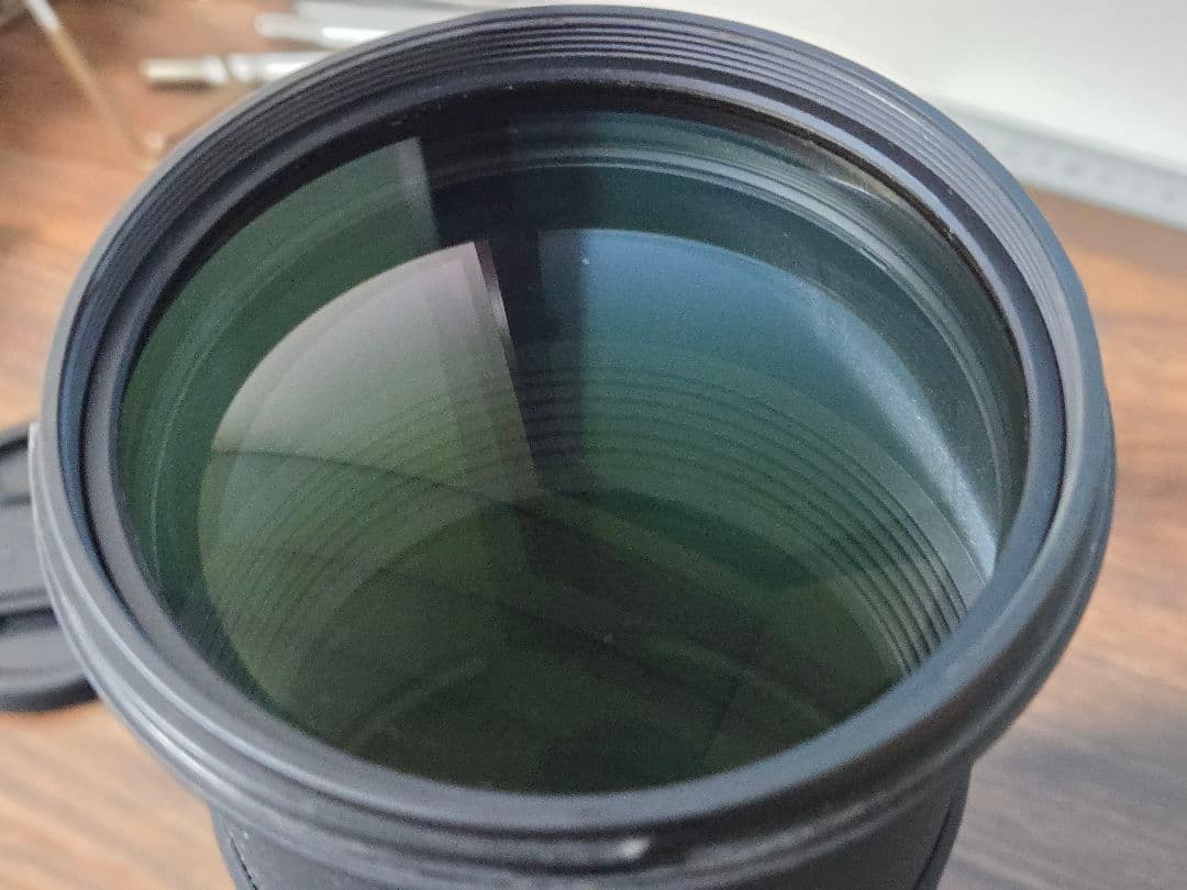 sigma DG 150-500 5-6.3　ニコン Fマウント　超望遠　望遠