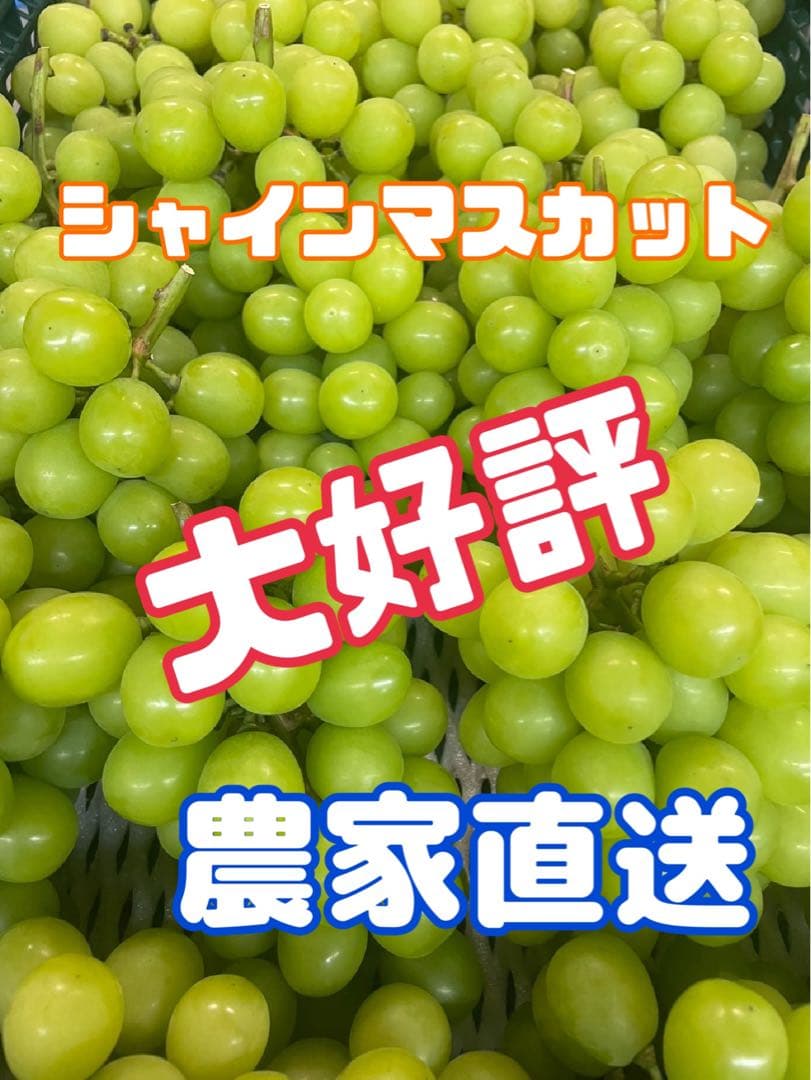 【シャインマスカット】山梨県産　4キロ　農家直送