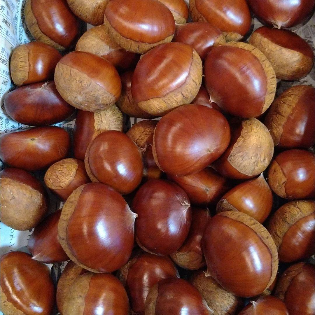 ⭕あっちゃん ❗　格安❗京都府丹波産 無農薬 丹波栗❗ミックス5kg詰め❗