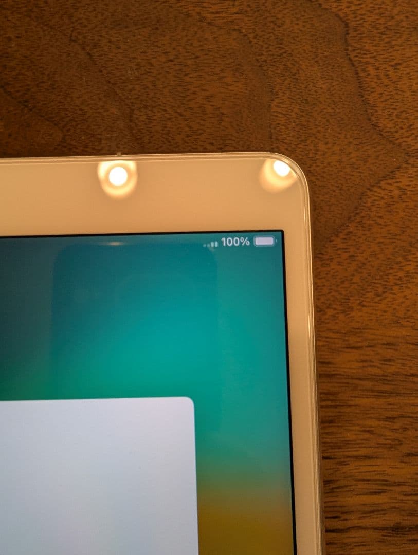 【付属品多数】iPad Pro 10.5 シムフリー 64GB シルバー