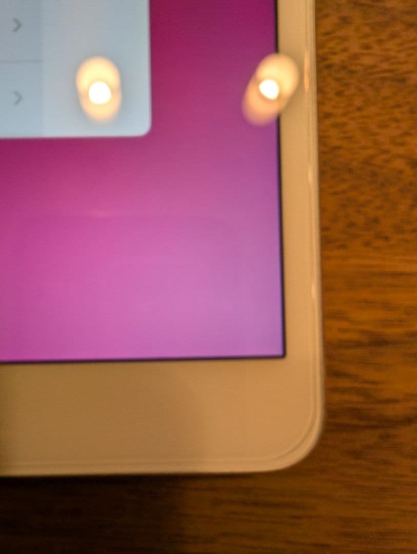 【付属品多数】iPad Pro 10.5 シムフリー 64GB シルバー