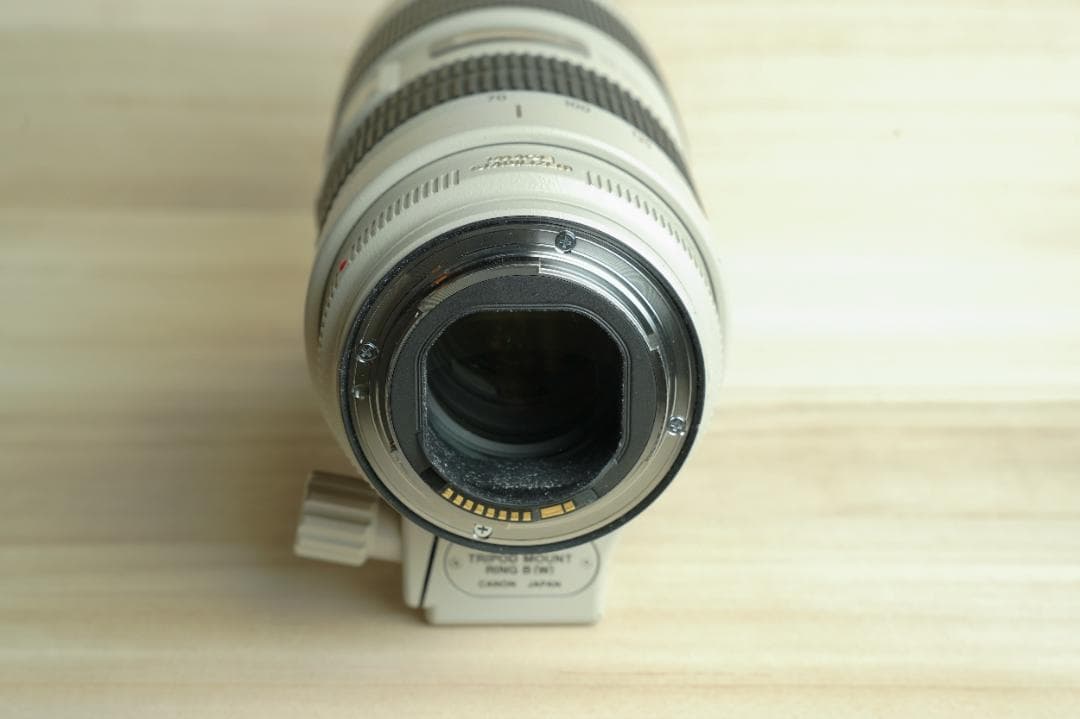 【値下げ中】Canon EF 70-200mm f/2.8 IS II USM