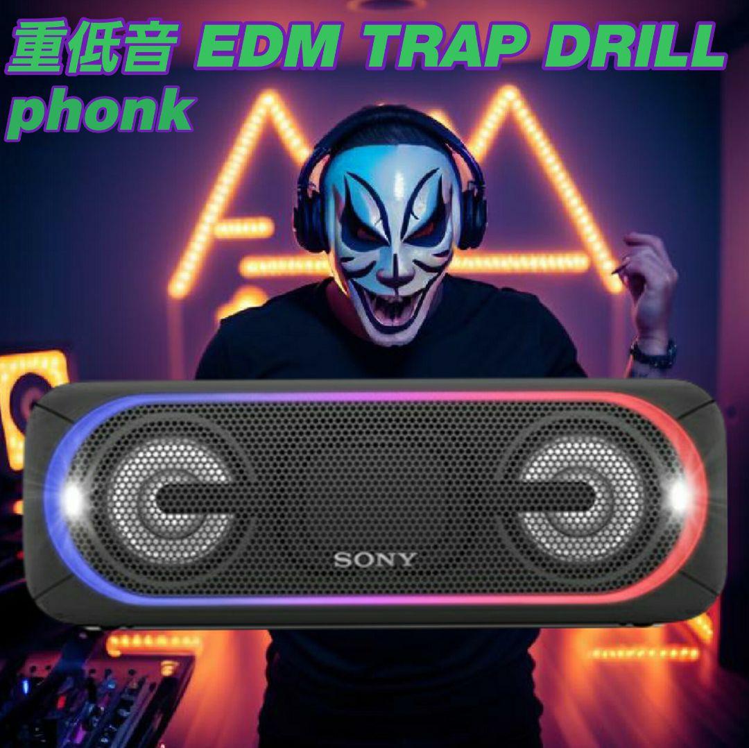 箱あり　SONY　SRS-XB40　美品　使用時間わずか　保管品　動作問題なし