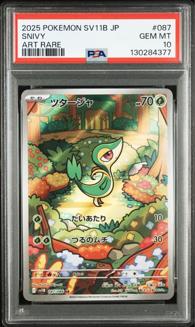 PSA10 ３連番 御三家 ツタージャ ポカブ ミジュマル AR ブラホワ