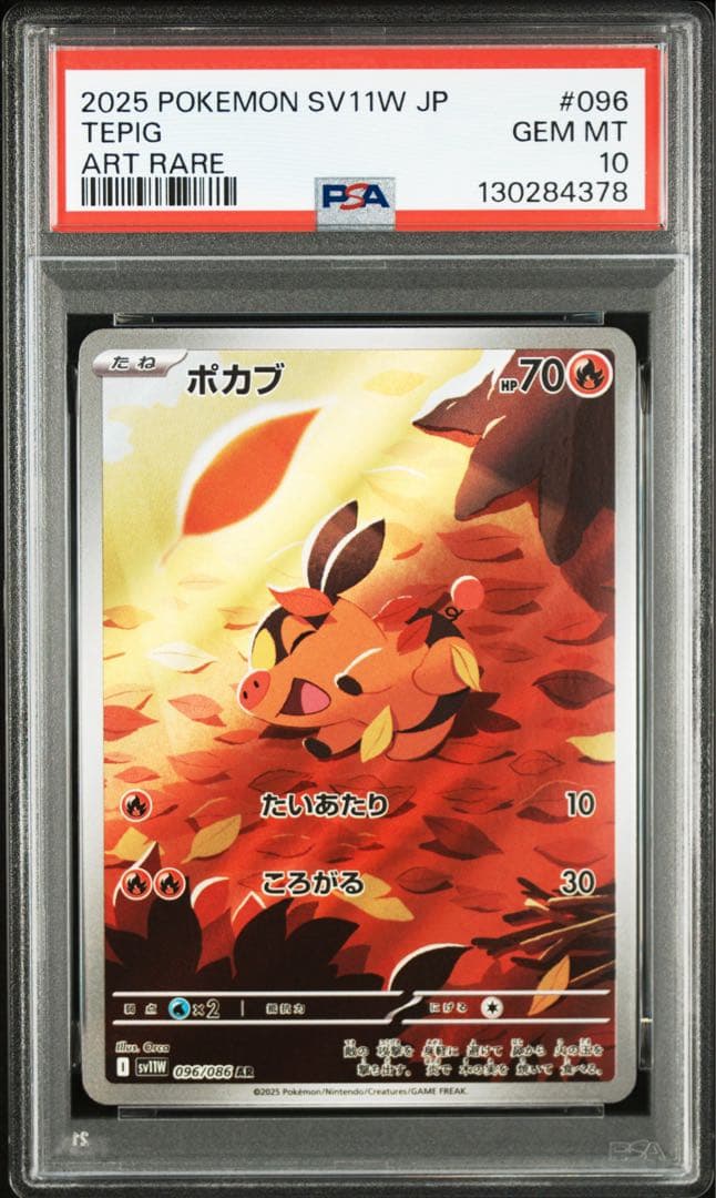 PSA10 ３連番 御三家 ツタージャ ポカブ ミジュマル AR ブラホワ