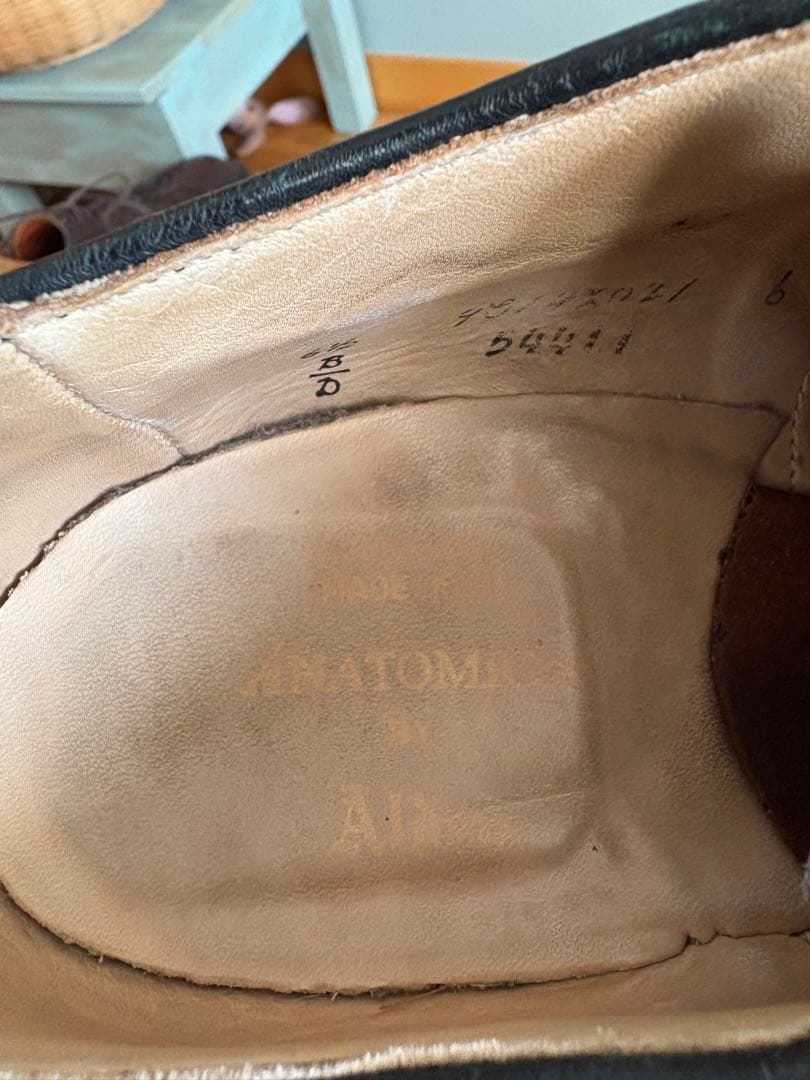 Alden 54411 vチップ anatomica別注　6 1/2