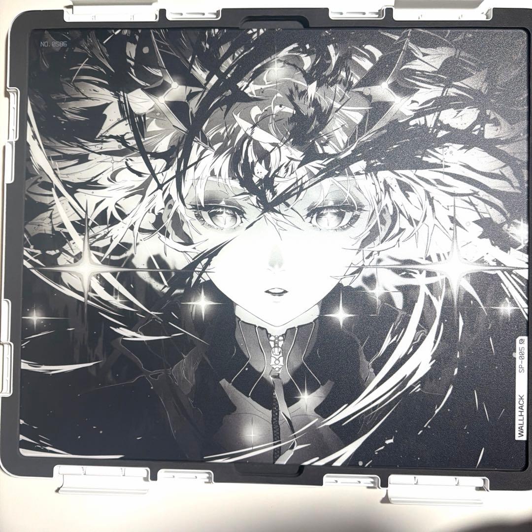 WALLHACK 限定版SP-005 Awakening Sora