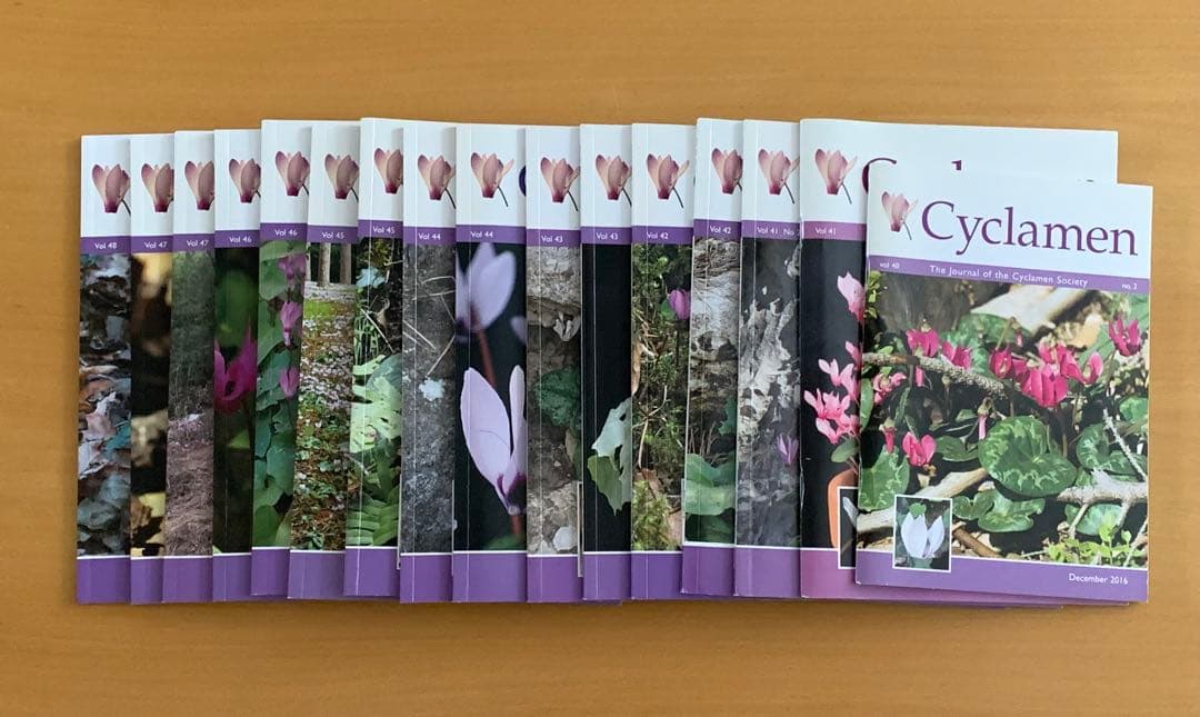 英国シクラメン協会ジャーナル16冊 幻の原種シクラメン ソマレンセ タイルバーン