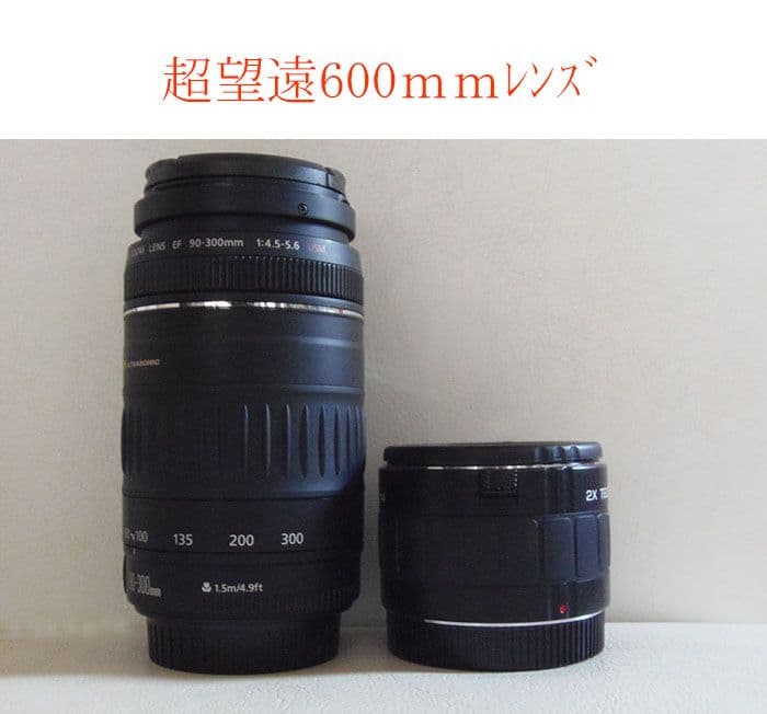 ★超望遠600mmレンズ　CANON　EF 90-300 ＋ 2倍レンズ