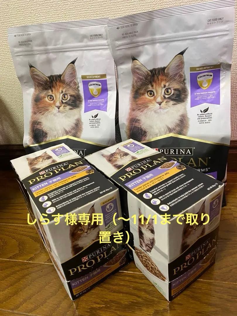 Purina Pro Plan 子猫用1.5kg×2袋＋ゼリー仕立て2箱セット