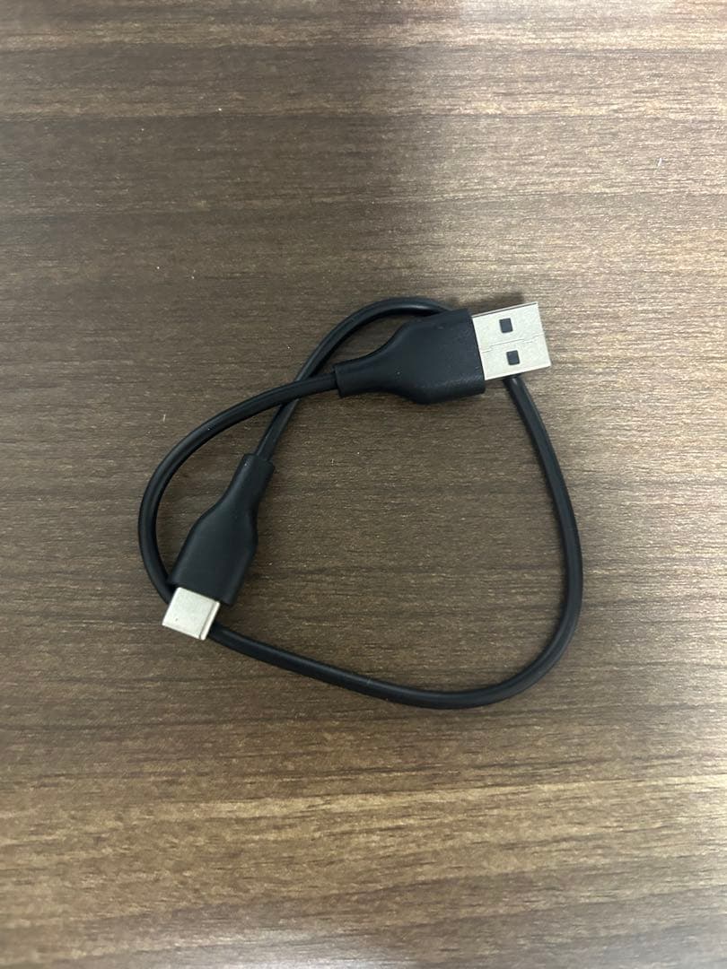 Anker Soundcore Liberty 4 Pro 右耳なし