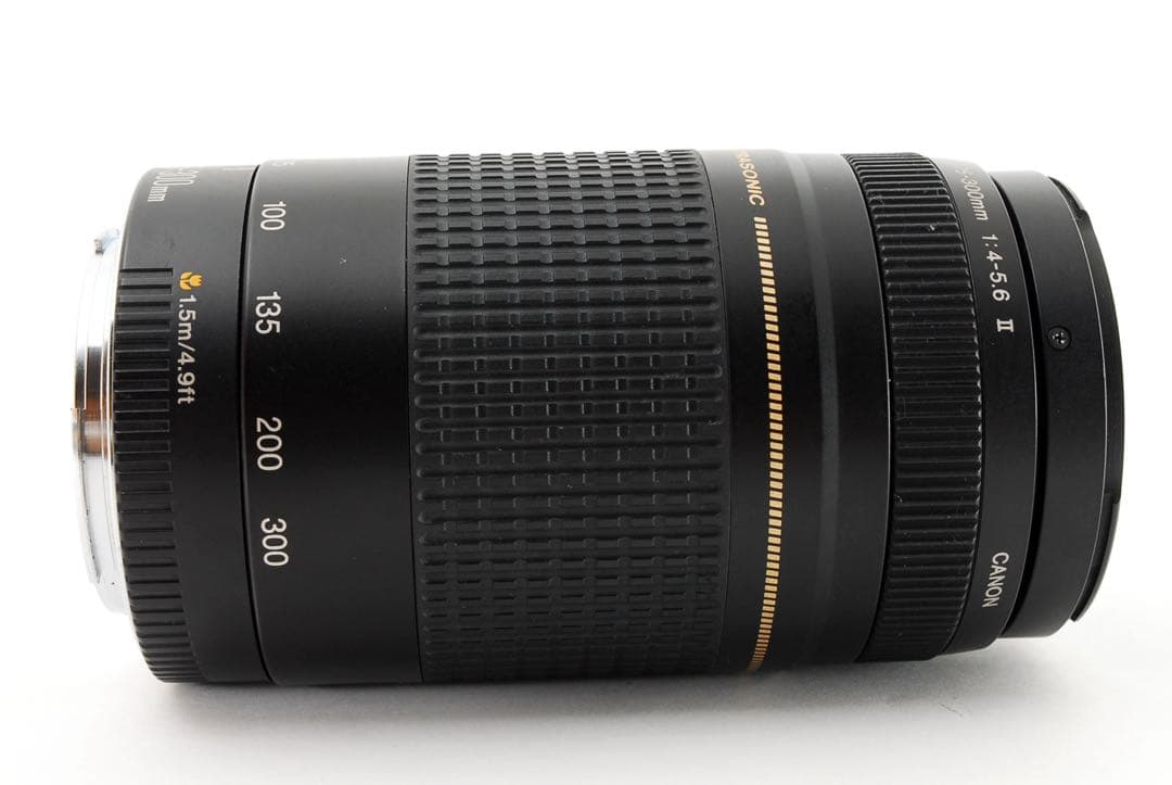 ☆人気の望遠レンズ☆イベント☆スポーツ☆Canon EF75-300㎜