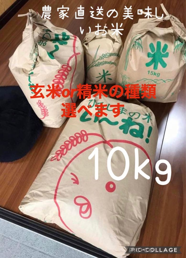 農家直送の美味しいお米 令和7年度産 ヒノヒカリ 10キロ