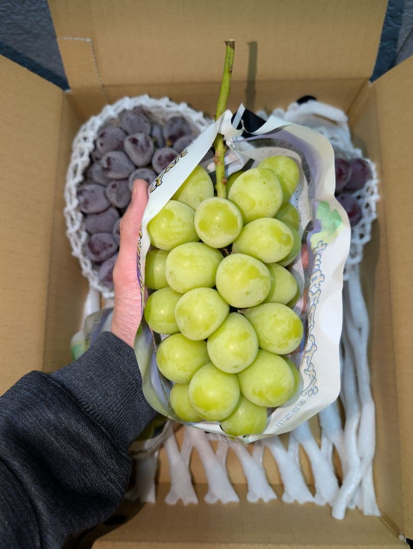 山梨県産ぶどう　美和姫　共選シャイン　4房入り箱込み約2.7kg