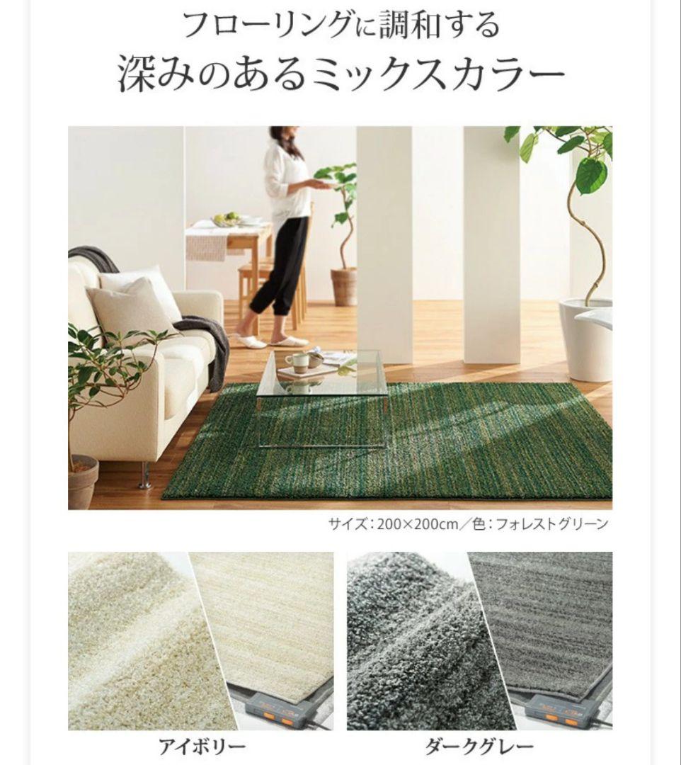 ホットカーペット 3畳 (WHC-305) カバー付き