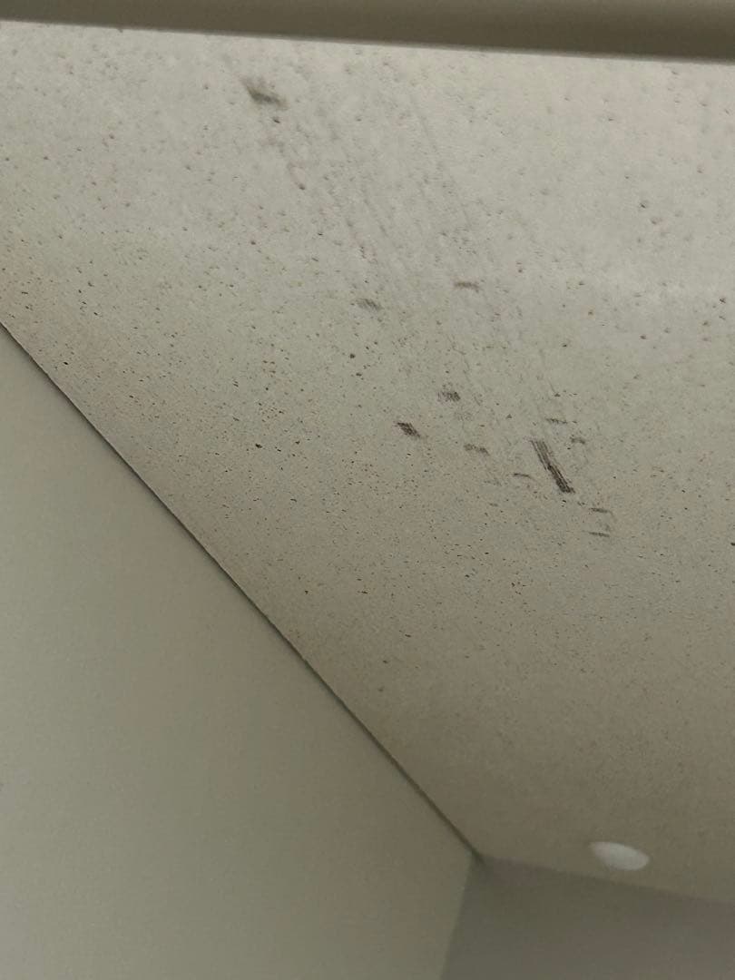 綾乃製作所の食器棚　幅170cm