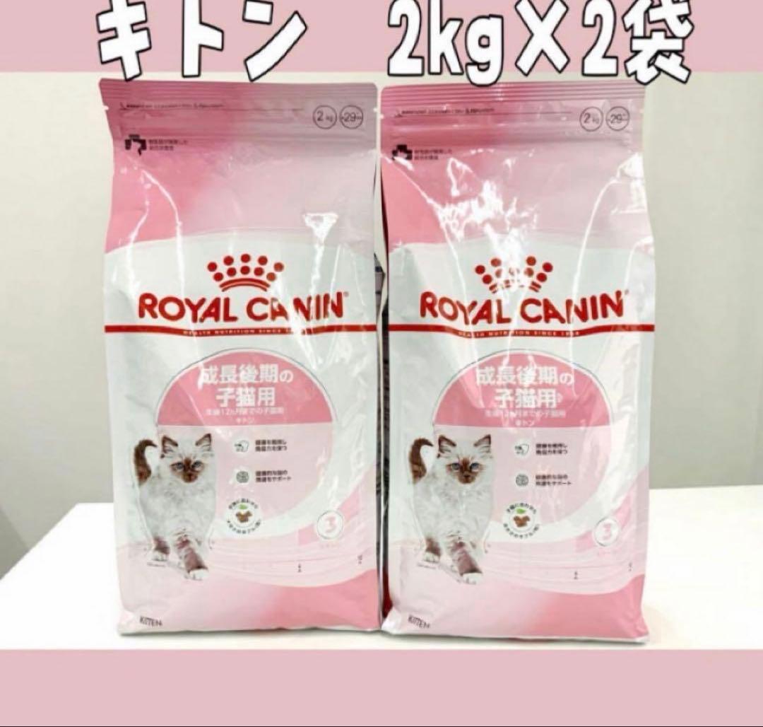 ロイヤルカナン　キトン　成長後期の子猫用　2kg×2袋