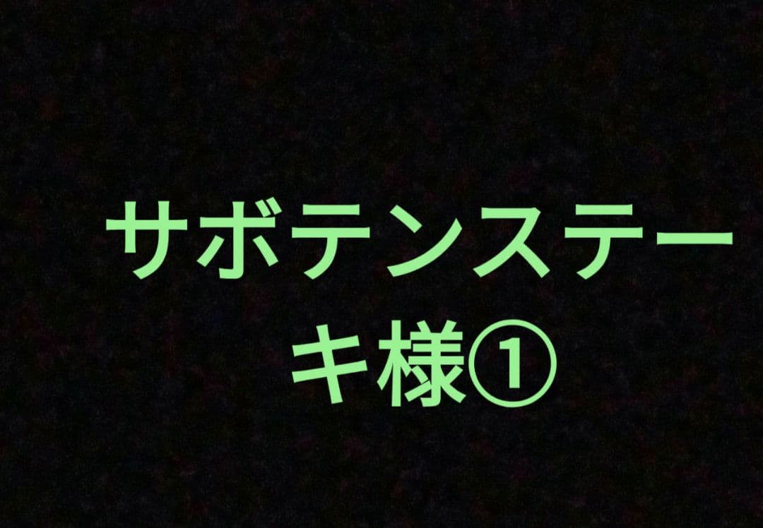 ①　専用出品　タイヤ　２本