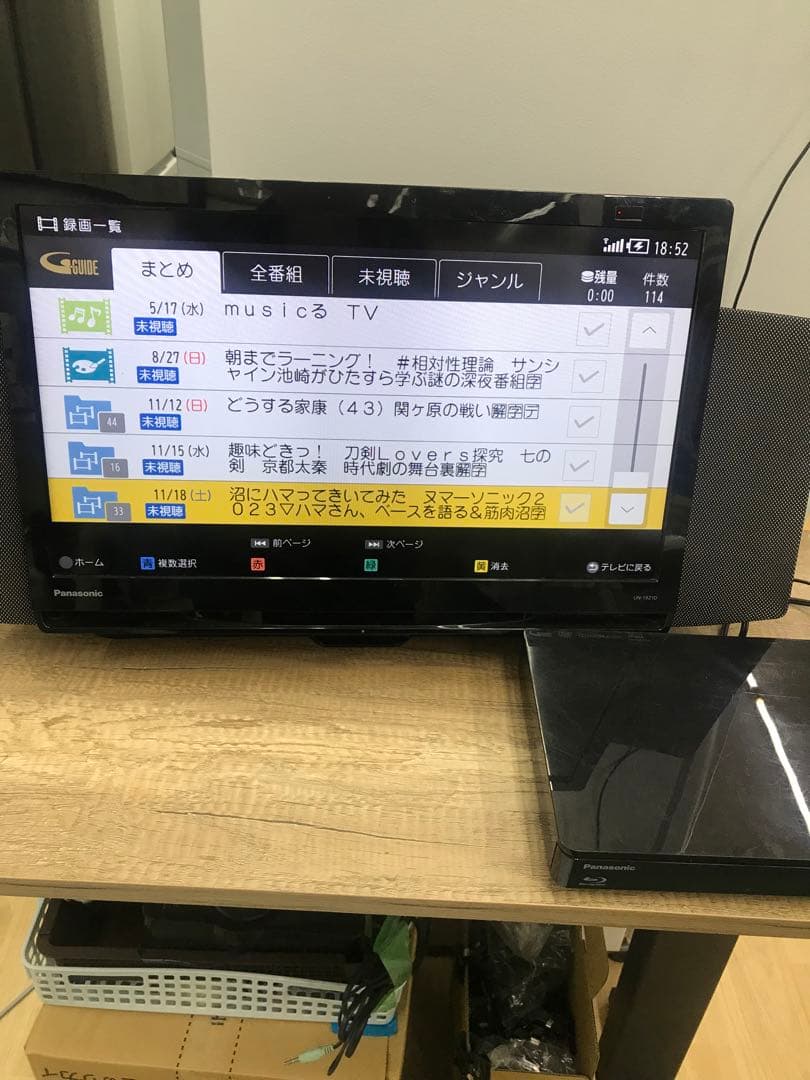 特売　Panasonic プライベート・ビエラ UN-19Z1D VIERA