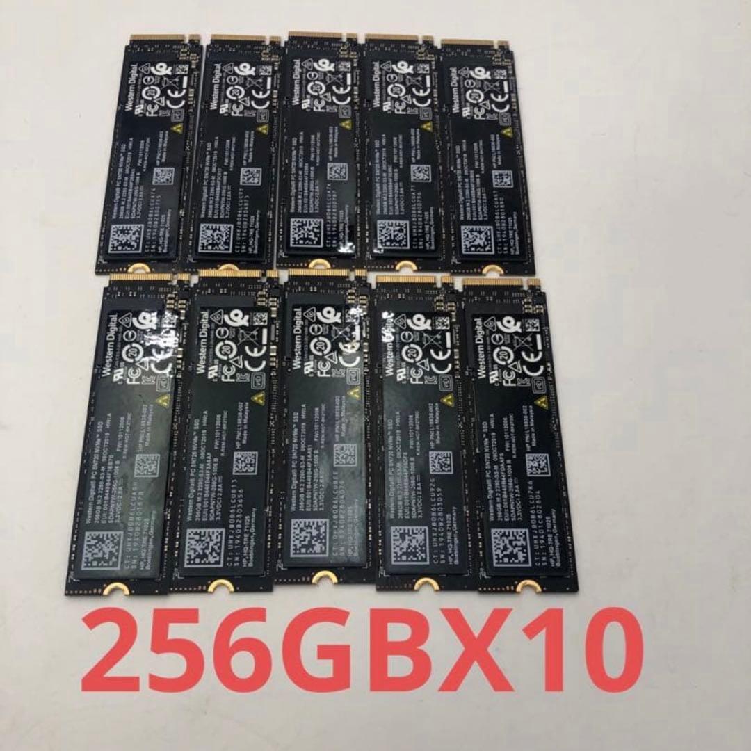 W es te m D i gita NVMe SSD 256GBX10