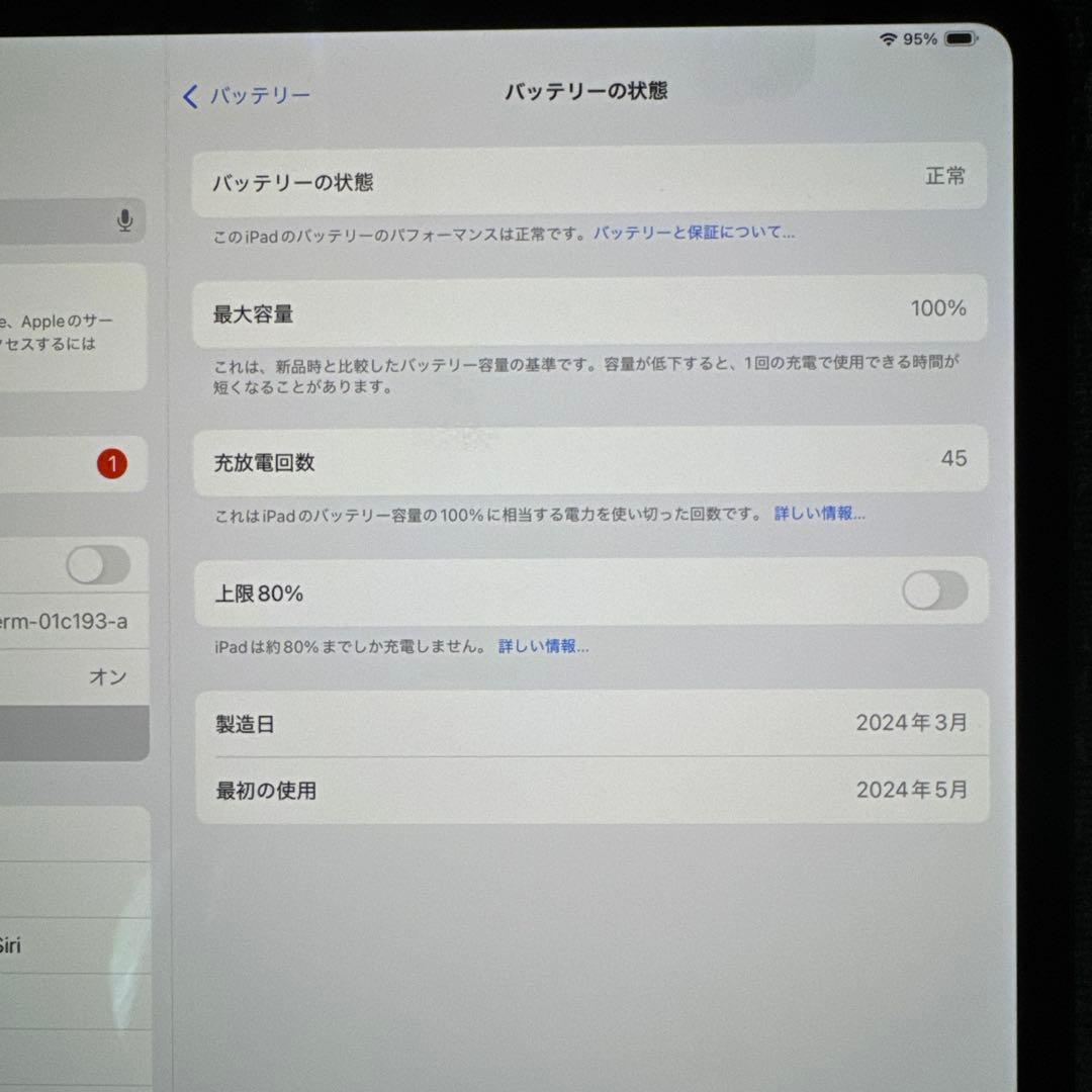 iPad Pro 13インチ（M4）Wi-Fi 512GB 最大容量100%