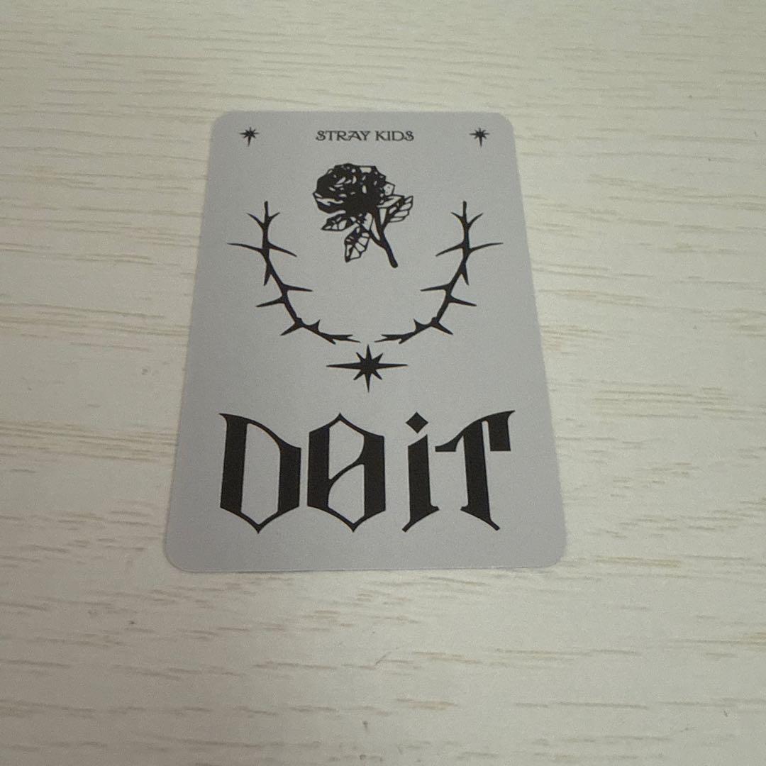 stray kids doit speaker ランダムトレカ バンチャン