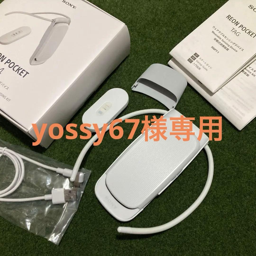 REON POCKE４（レオンポケット4）SONY