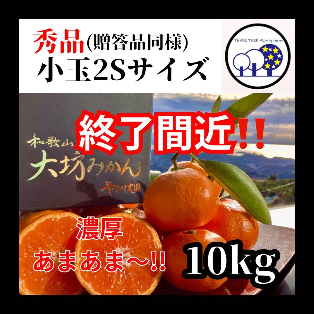 ④温州みかん 樹熟大坊みかん 秀品(贈答品同様)2Sサイズ10kg