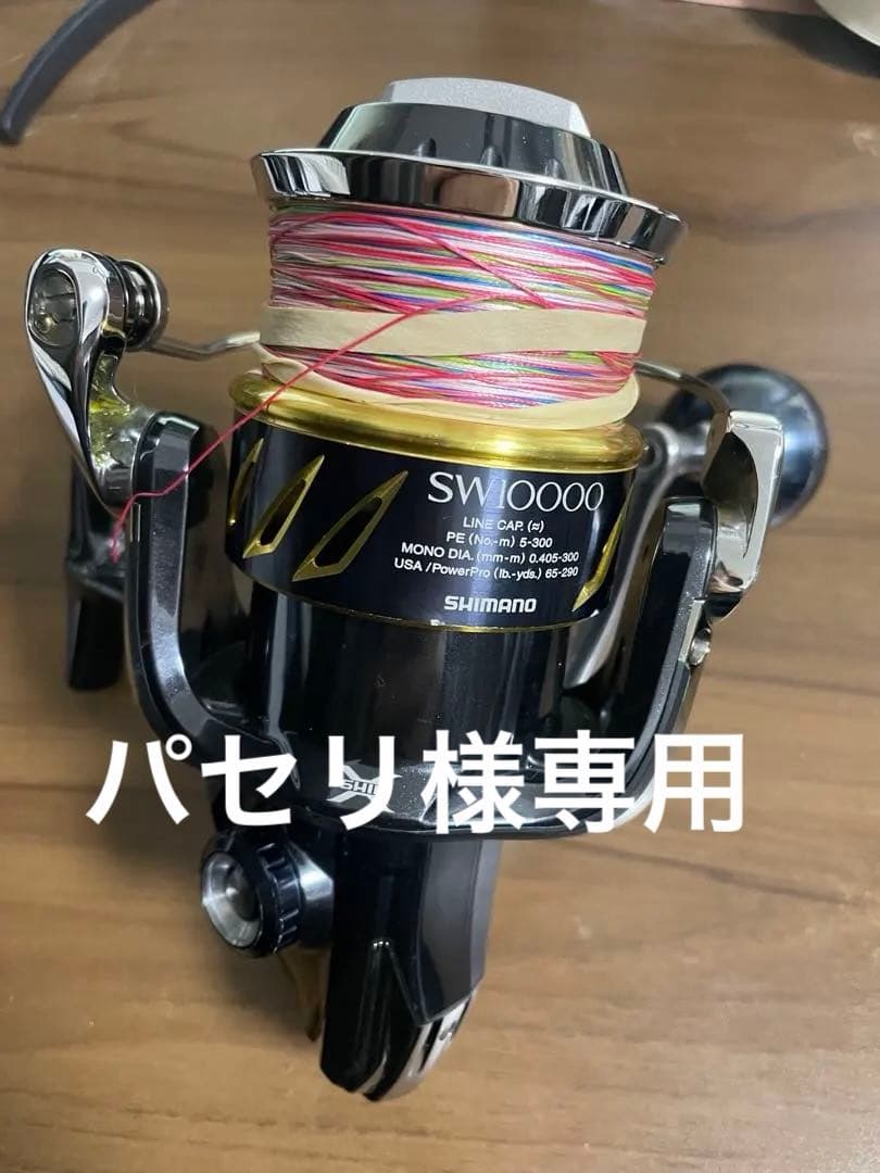 【パセリ】SHIMANO 13 STELLA SW10000 PG