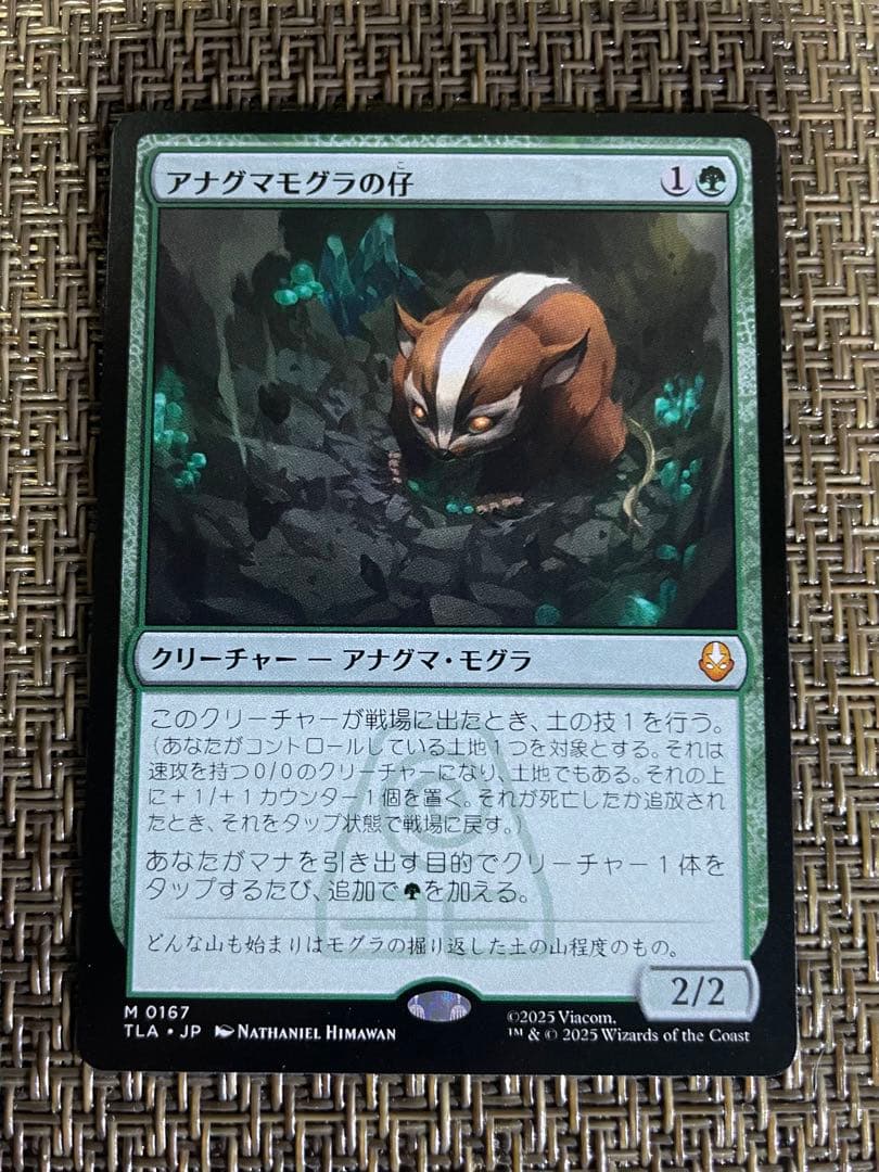 アナグマモグラの仔/ 1枚 日本語