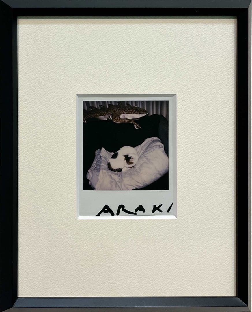 荒木経惟 ポラロイド写真 ヌード サイン入