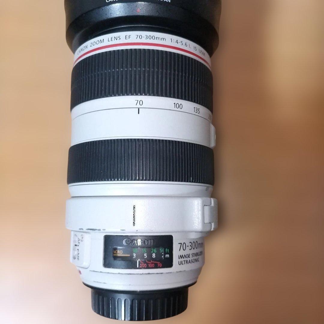 Canon EF 70-300mm F4.5-5.6L IS USM　白レンズ