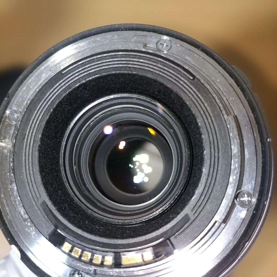 Canon EF 70-300mm F4.5-5.6L IS USM　白レンズ