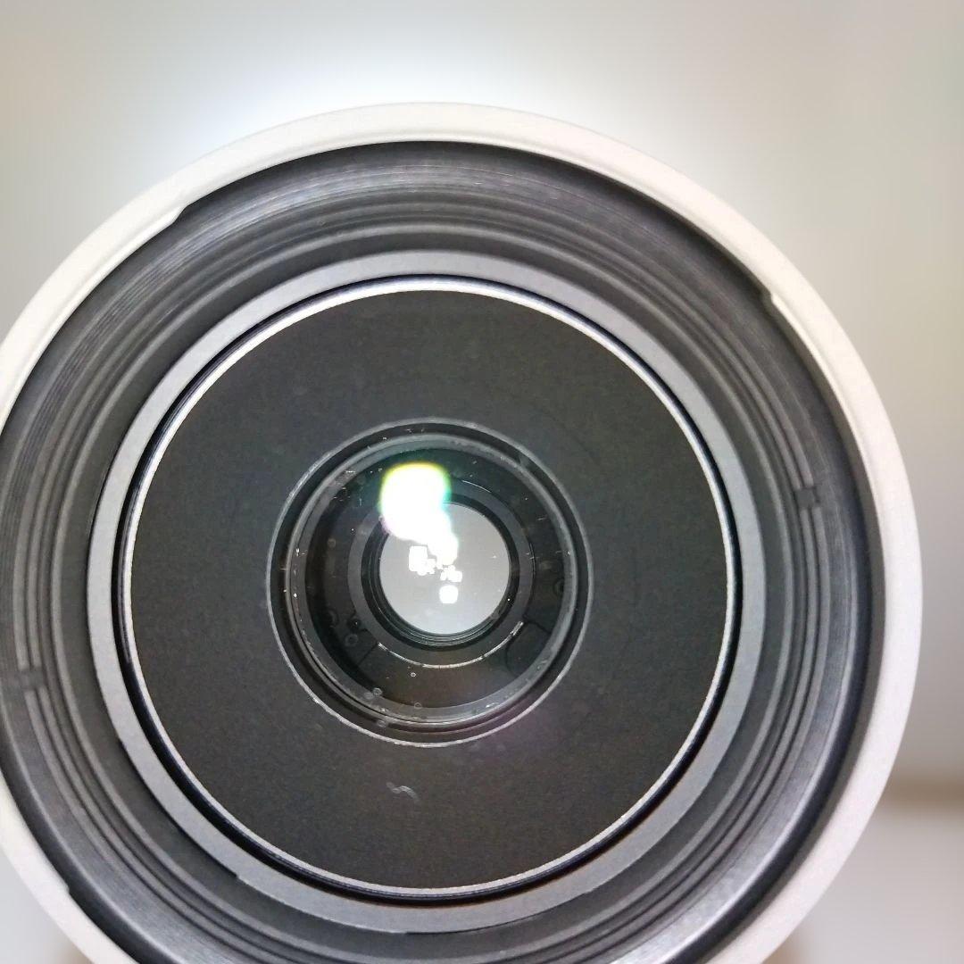 Canon EF 70-300mm F4.5-5.6L IS USM　白レンズ