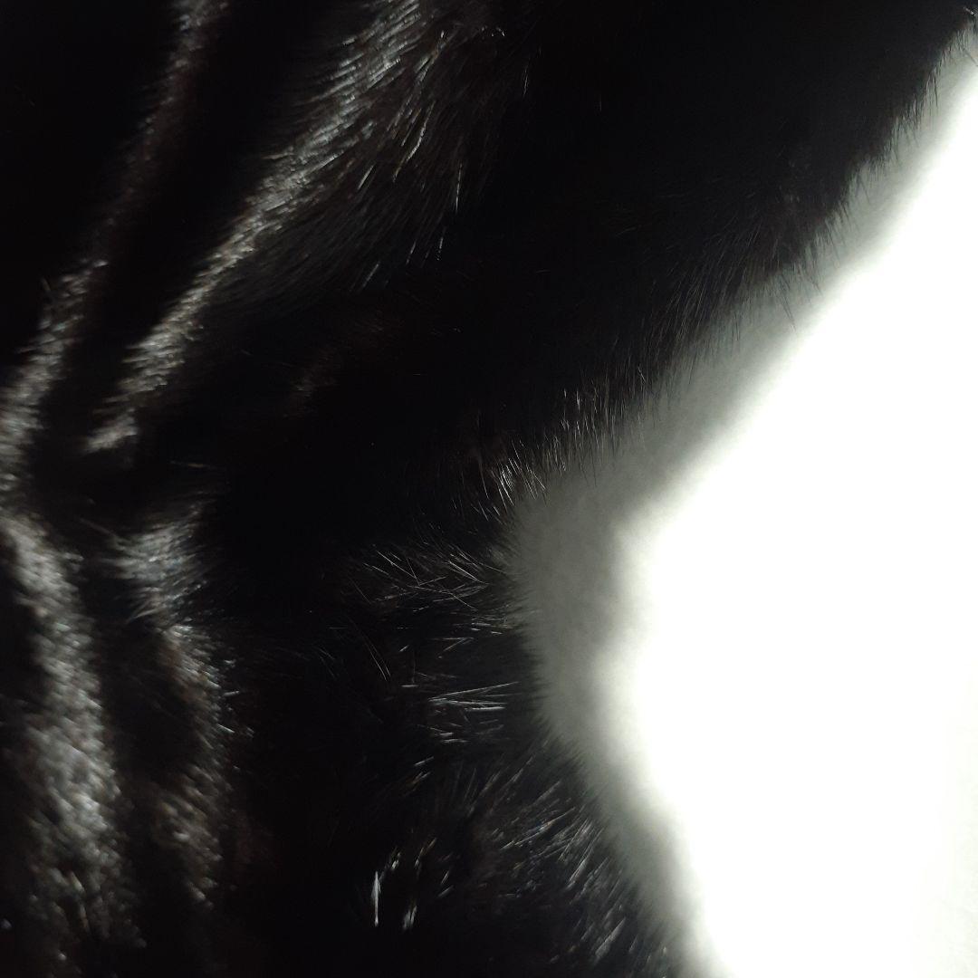 SAGA MINK コート ブラック