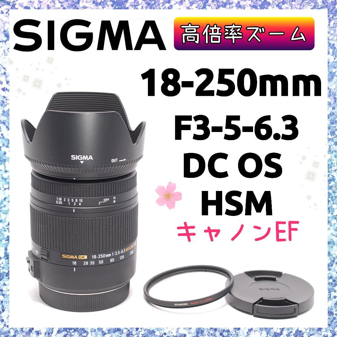 ❤即購入1000円OFF❤美品❤ シグマ 18-250mm DC OS HSM