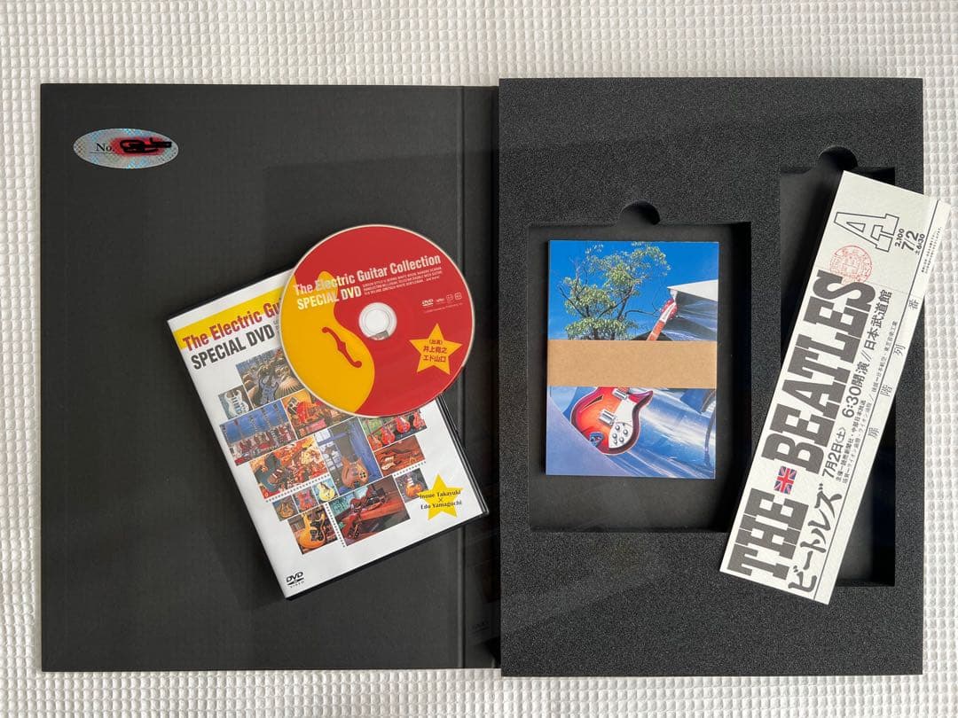 The Electric Guitar Collection ビザール エレキ
