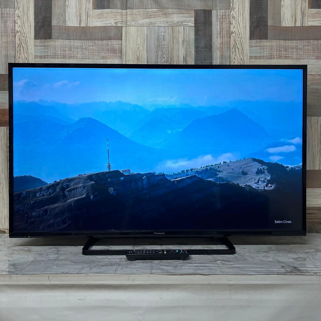 即日受渡❣️全国送料込パナソニック49V型地上デジタルBSCSテレビWチューナー
