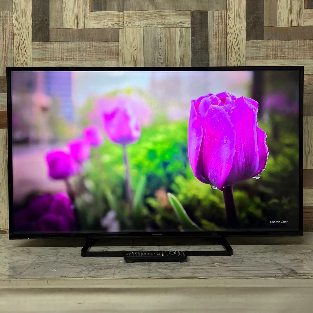 即日受渡❣️全国送料込パナソニック49V型地上デジタルBSCSテレビWチューナー